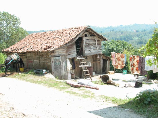 DSCN2059 - Arrière pays d'Unye