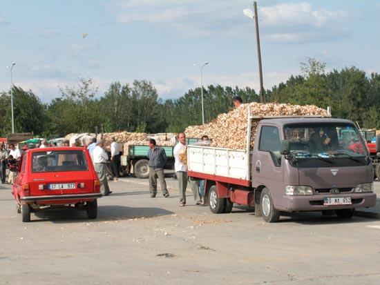 DSCN2154 - De Sinop à Safranbolu