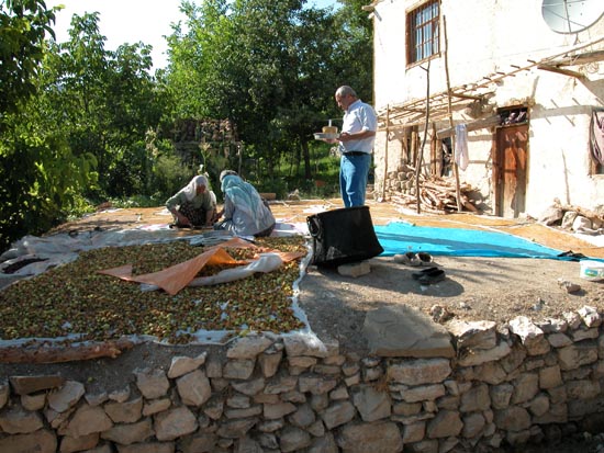 DSCN1946 - Village d'Ishan Compote de pommes