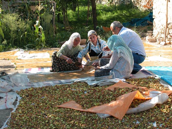 DSCN1948 - Village d'Ishan - Compote de pommes