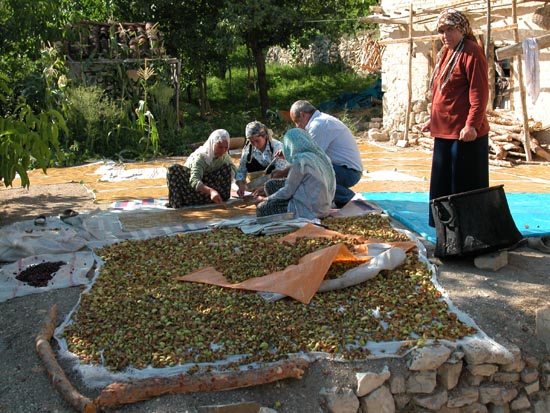 DSCN1949 - Village d'Ishan - Compote de pommes