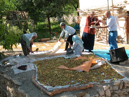DSCN1950 - Village d'Ishan - Compote de pommes