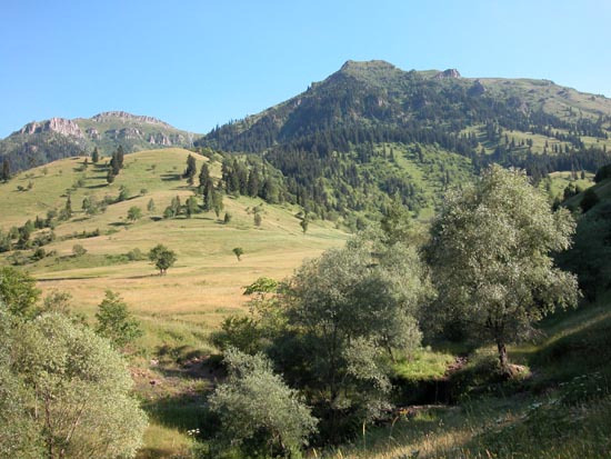 DSCN1959 - Entre Artvin et Ardahan