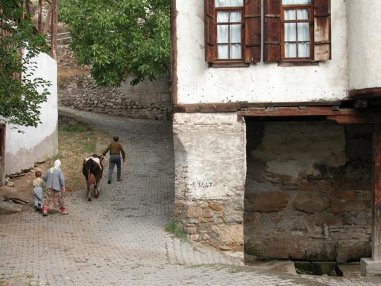 DSCN2159 - Safranbolu
